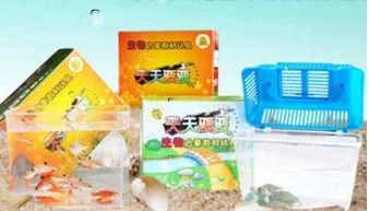 海洋生物產(chǎn)品與店鋪裝修 創(chuàng)新設(shè)計(jì)與生態(tài)美學(xué)的融合